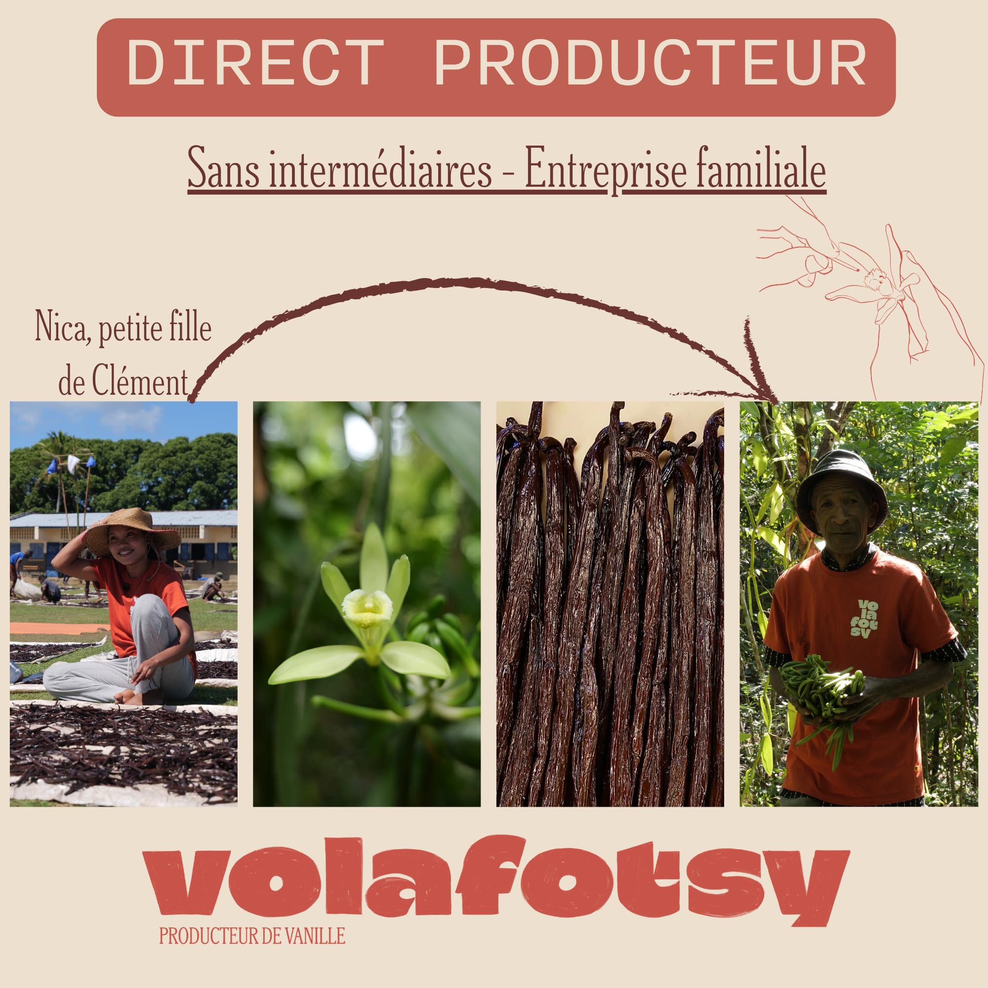 VOLAFOTSY – 50 Gousses de Vanille Bourbon Premium de Madagascar 16-18 cm | Direct Producteur Sambava | Riches en Grains | Qualité Gourmet | Idéales pour Pâtisserie, Desserts et Extraits