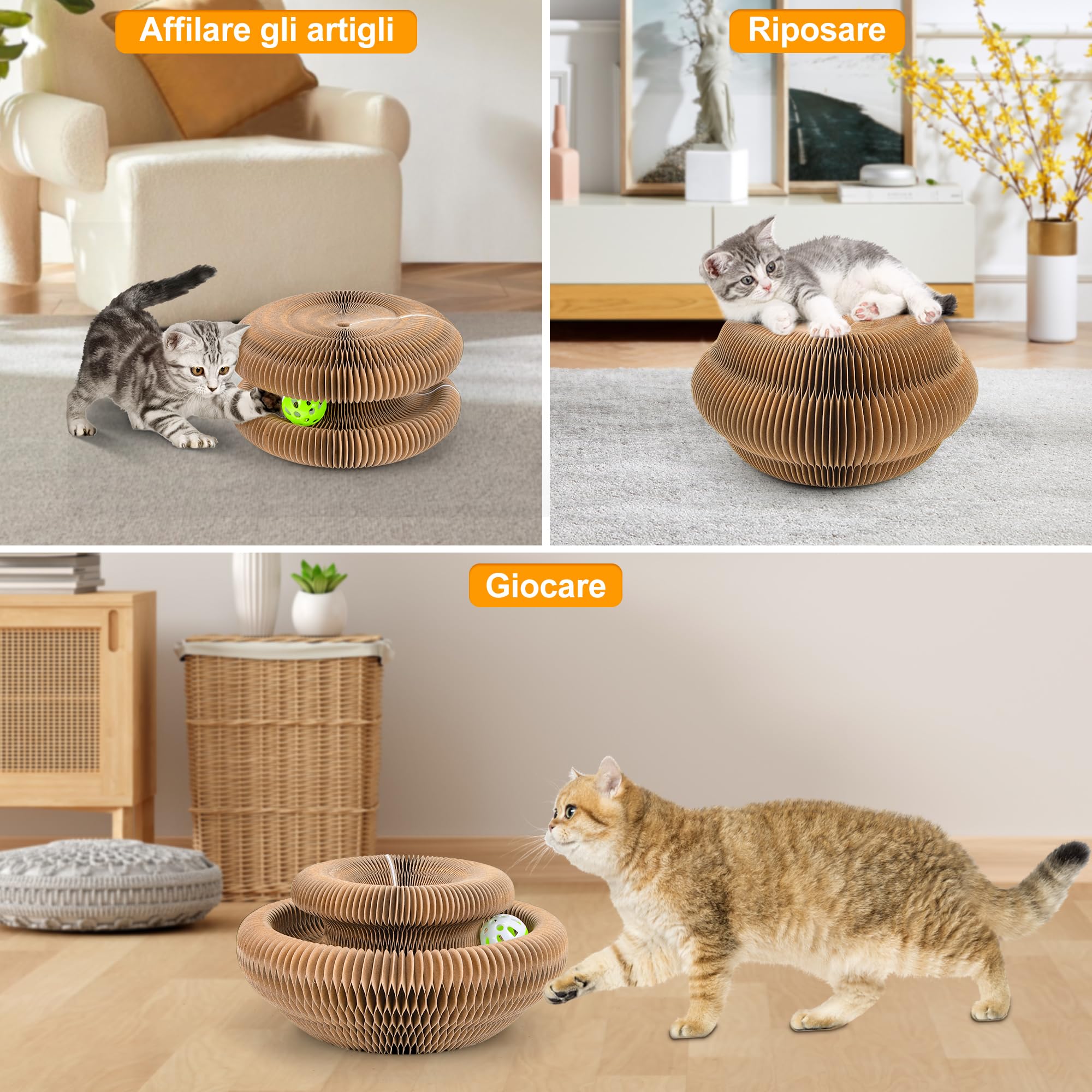 Magic Organ Tiragraffi per gatti | 2 in 1 pieghevole con campanella | Giocattolo interattivo e casetta di cartone per gatti domestici (Dimensioni standard)