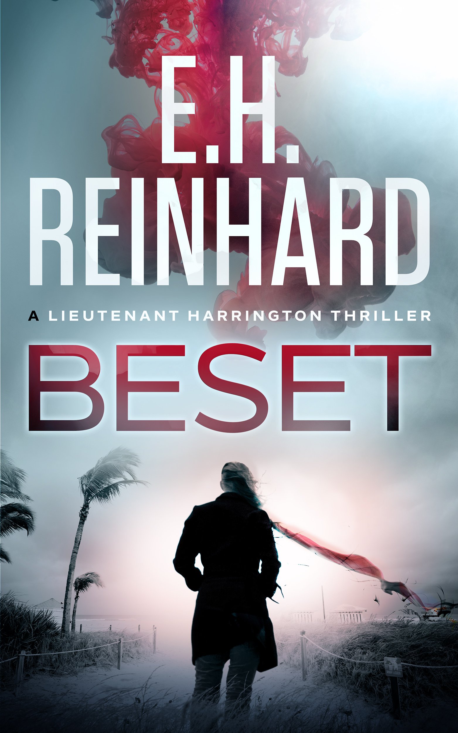 Beset (The Nash Harrington Crime Thriller Series Book 2)