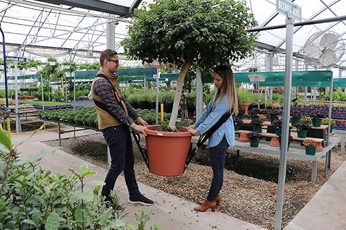 Miniatura 5 de Las correas de elevación y movimiento de la plataforma de hombro mueven objetos pesados fácilmente (correas de repuesto o accesorios). Viene en 8