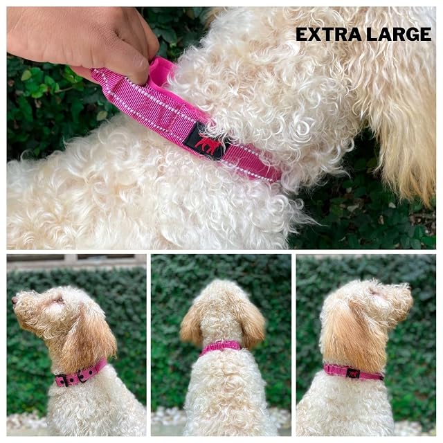 Foto 3 de 8 de Collar para Perro Resistente con asa Tuff Pupper