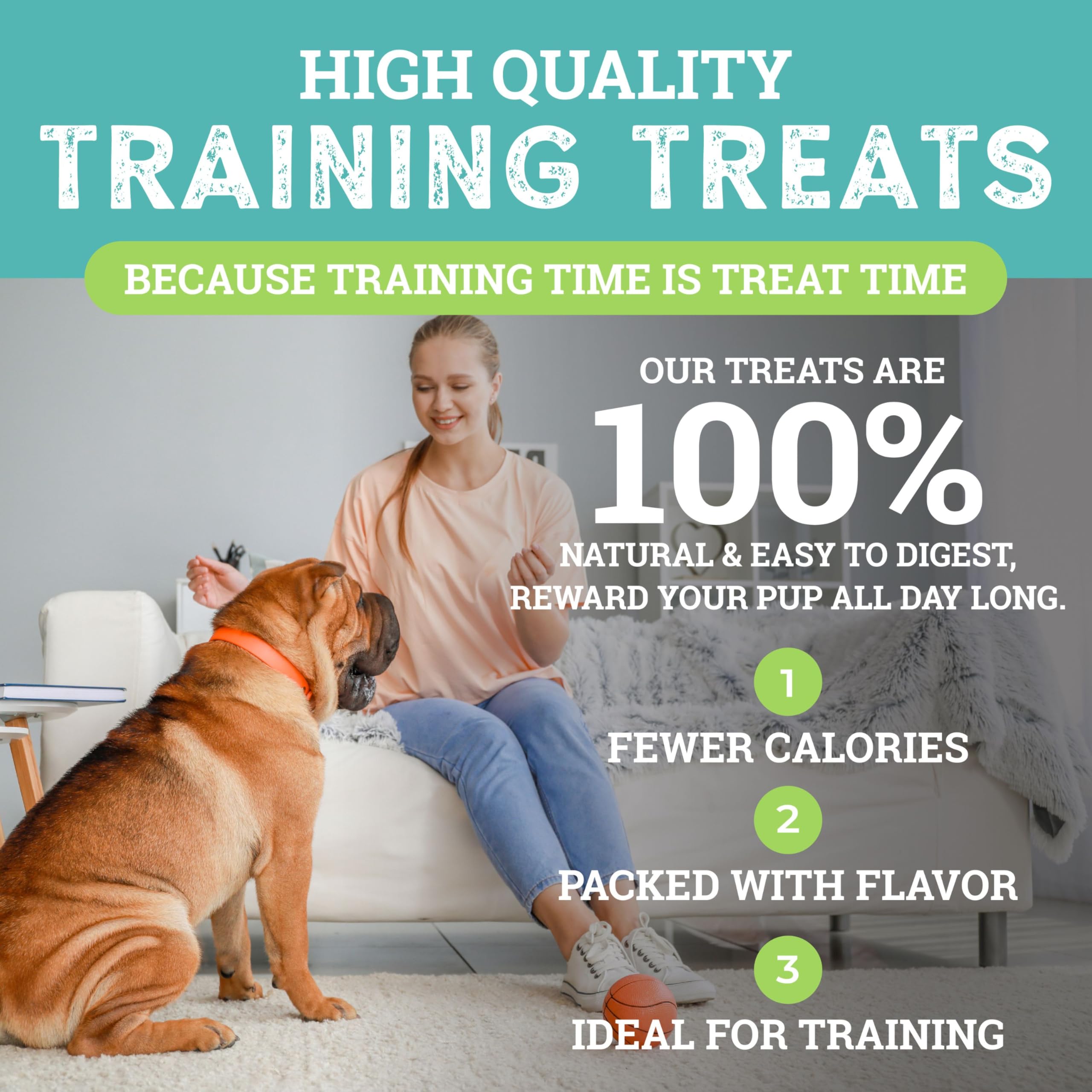 etta says! Training Treats - All Natural Cheese Soft Treats for Dogs - Made in The USA (16 Oz Pack of 1) - image 3