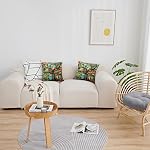 HMS Happy Memorievets Velvet Cushion Cases Square Decorative Throw Pillow Cover 45x45cm(18x18 Inch) Set of 2 for Couch Sofa Bed Living Room Bedroom