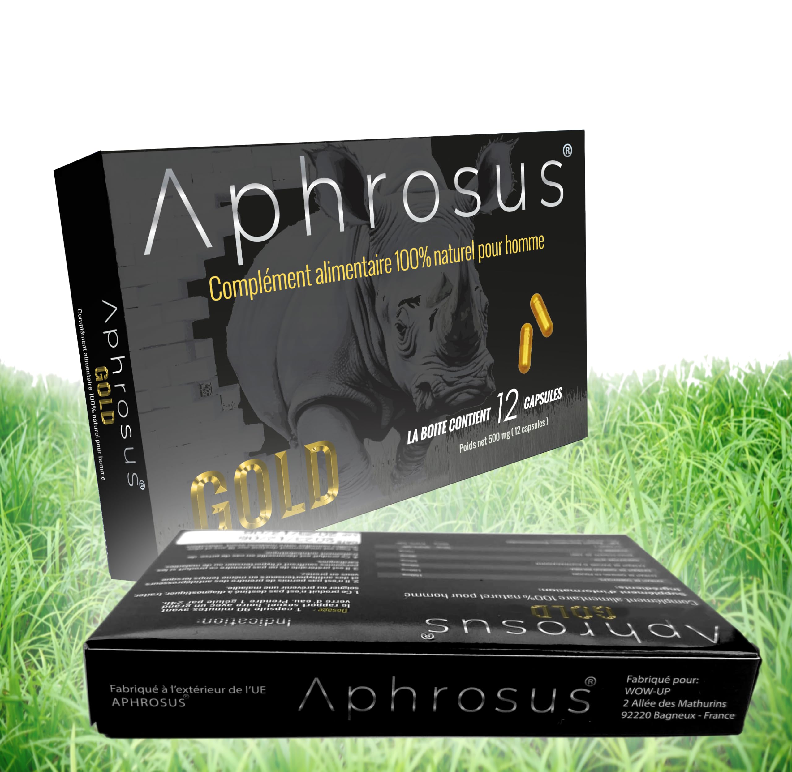 Gold Offre Deux boites -Complément alimentaire pour hommes à base de ginseng et Ginkgo- Effet super puissant et prolongé -blister 12 gélulerolongé -blister 12 gélules (2 Boites)