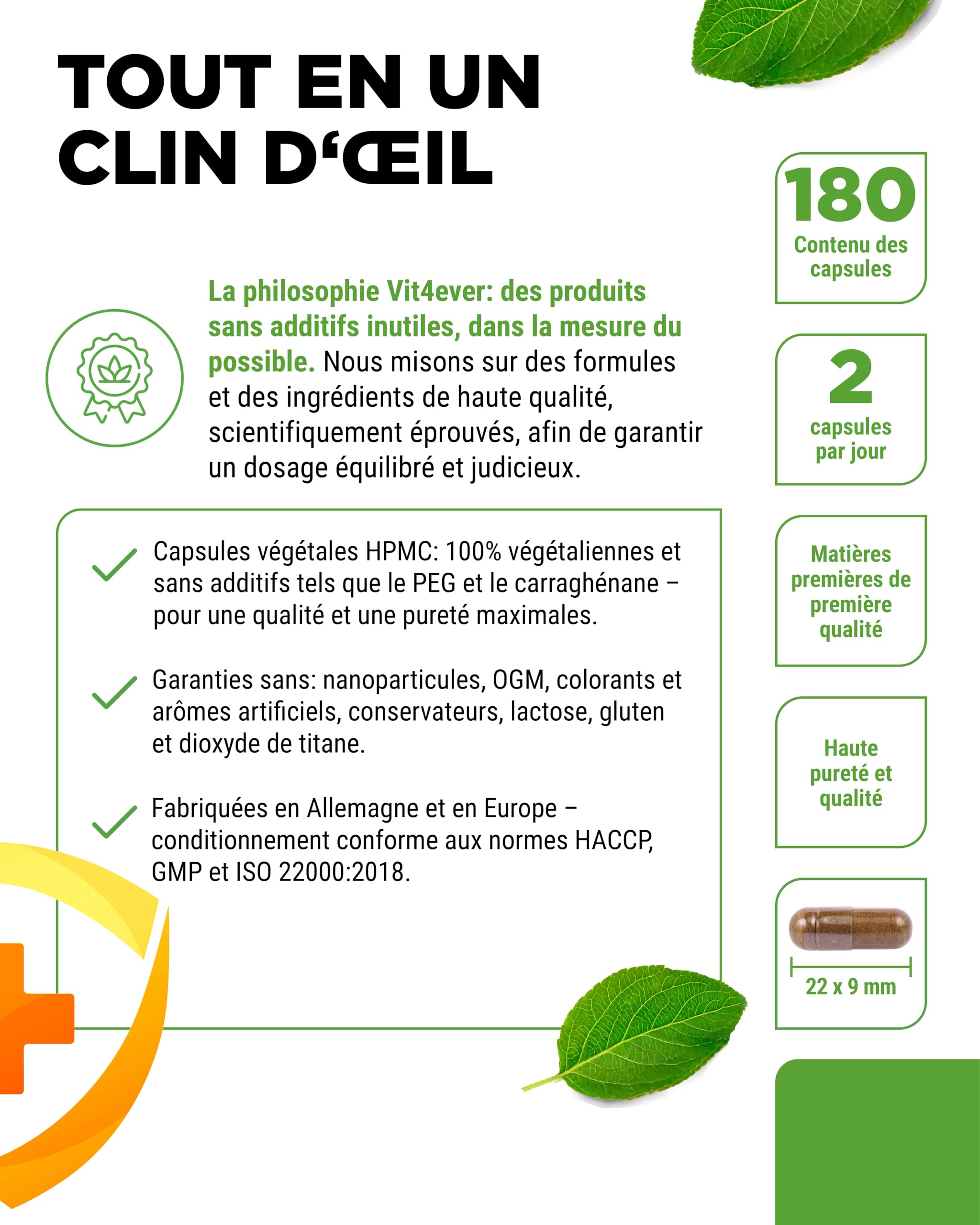 Complexe Immunitaire à Forte Dose - 180 gélules pour 90 jours - 500 mg d'Échinacée, de Kalmegh, d'Églantier, de Vitamine C, de L-Histidine, de Zinc et de Sélénium - Vegan, sans additifs inutiles