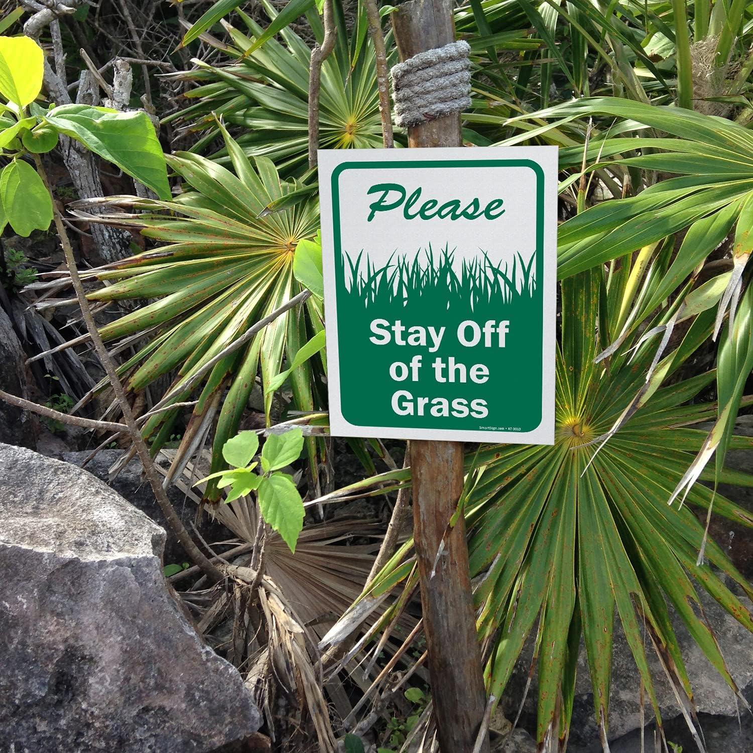 SmartSign (Pack of 5) 12 x 9 inch “Please Stay Off The Grass” Sign, Screen Printed, 10 mil Polystyrene Plastic, Green and White