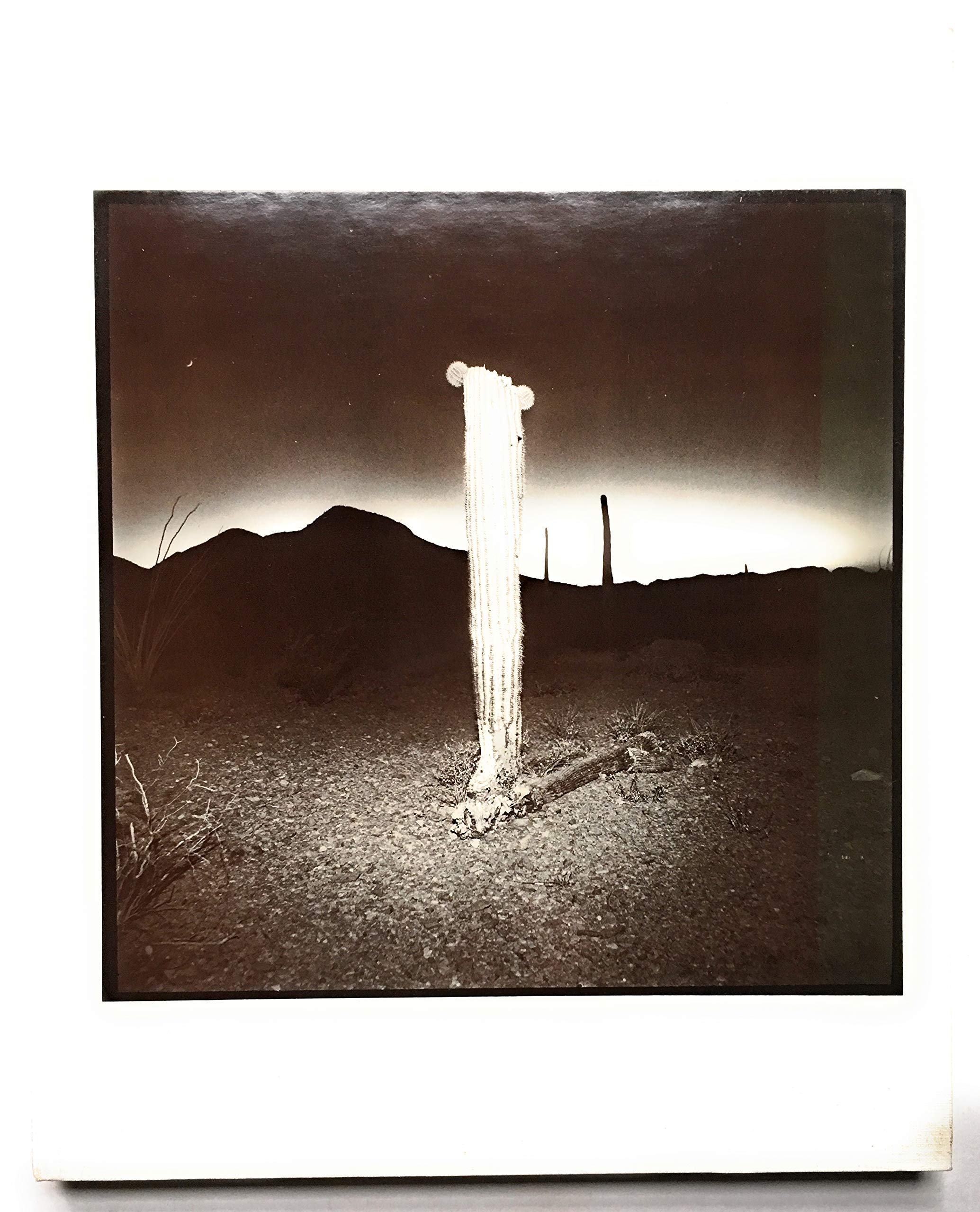 Amazon.co.jp: Richard Misrach: 本、バイオグラフィー、最新