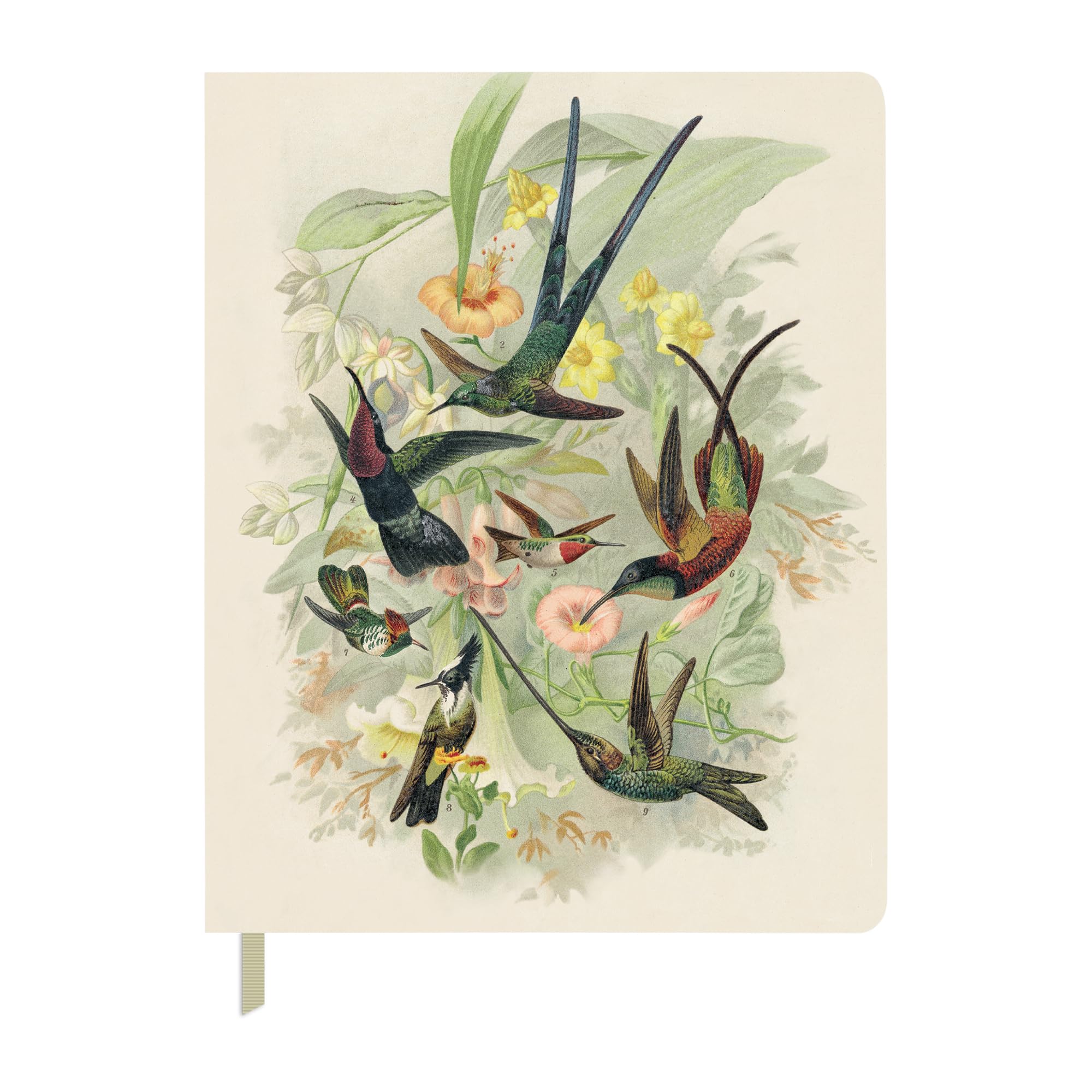 Fringe Studio Classic Large Paperback Journal, HUMMINGBIRDS, 7.5" x 9.5", 208 Pages, Memento Collection (841055)