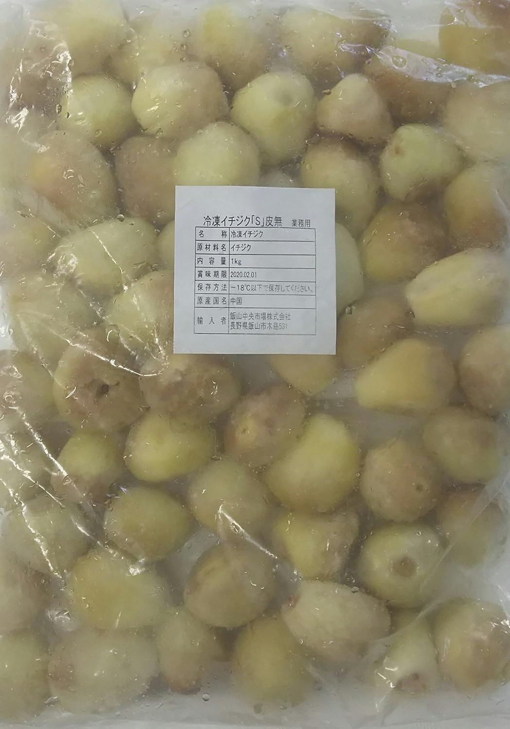 五葉松『特大』引き取りまたは、近畿地方のみ配達可能。その他地方要