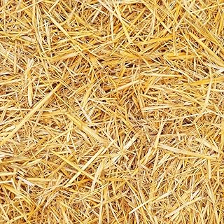 Premium Wheat Straw Growing Substrate – Clean, Dried & Chopped – Ideal for Mushroom Cultivation, Garden Mulch, Worm Bedding & Composting (4 Ounces)