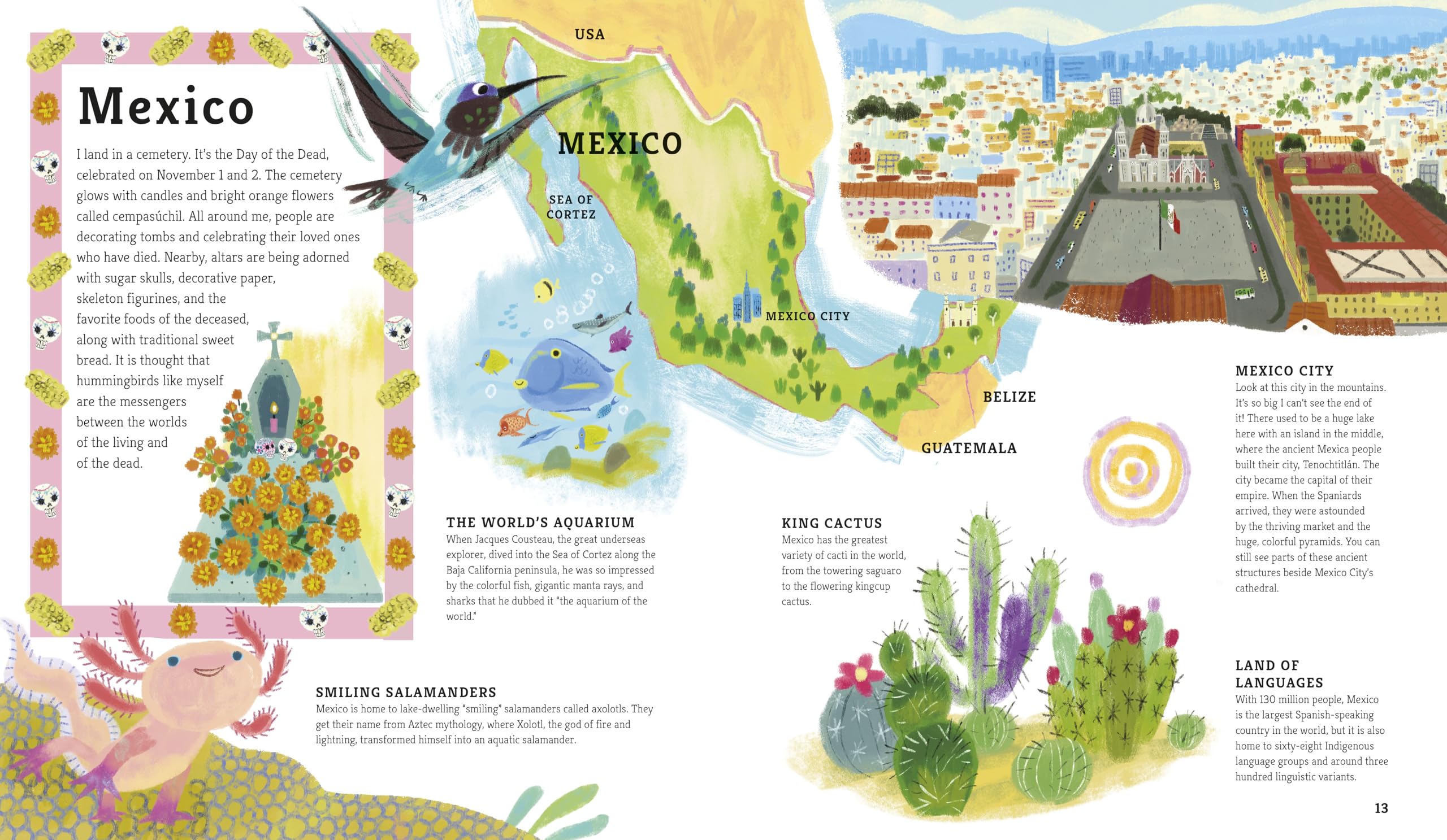 My Latin America and the Caribbean: A Celebration (My Amazing Adventures)