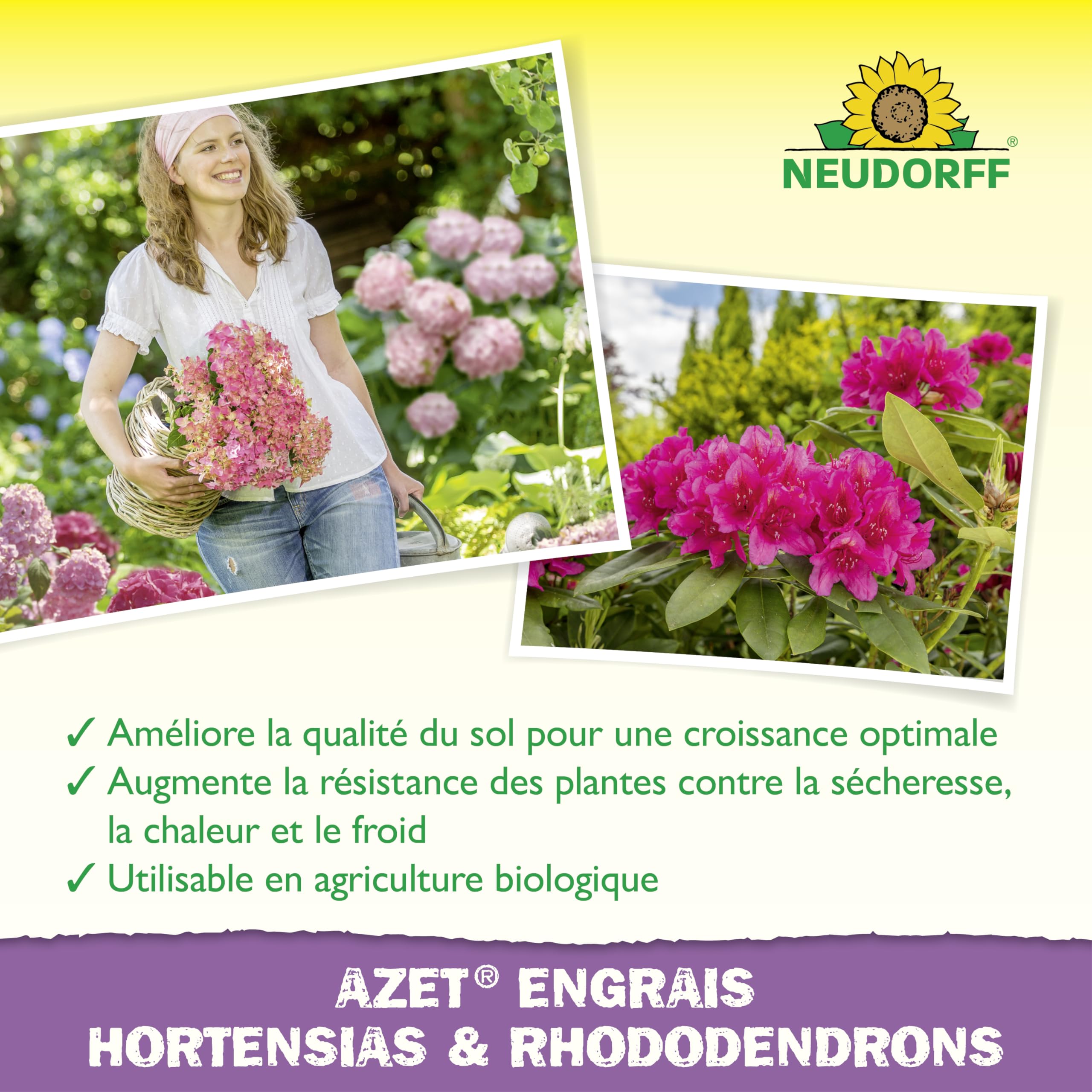 Neudorff Azet Engrais hortensias & rhododendrons – Engrais liquide naturel avec fer pour une floraison luxuriante et des hortensias, rhododendrons, azalées et camélias résistants, 1 L