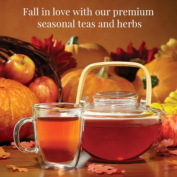 The Republic of Tea: Fall Harvest Tea Assortment Cube, 24 Tea Bags 5
