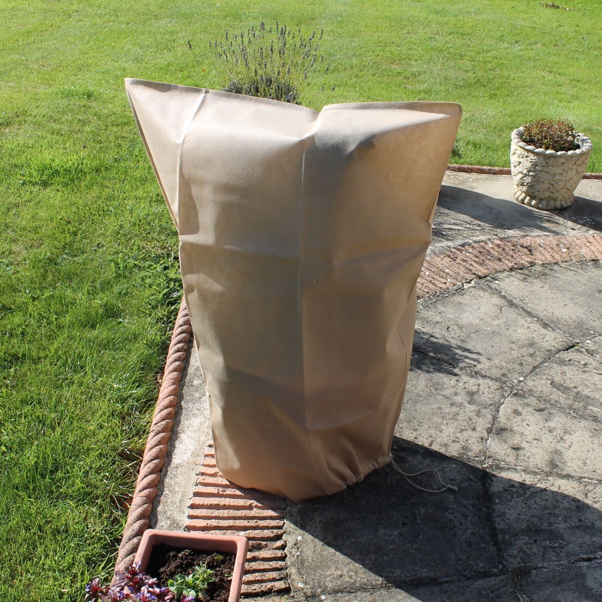View 3
