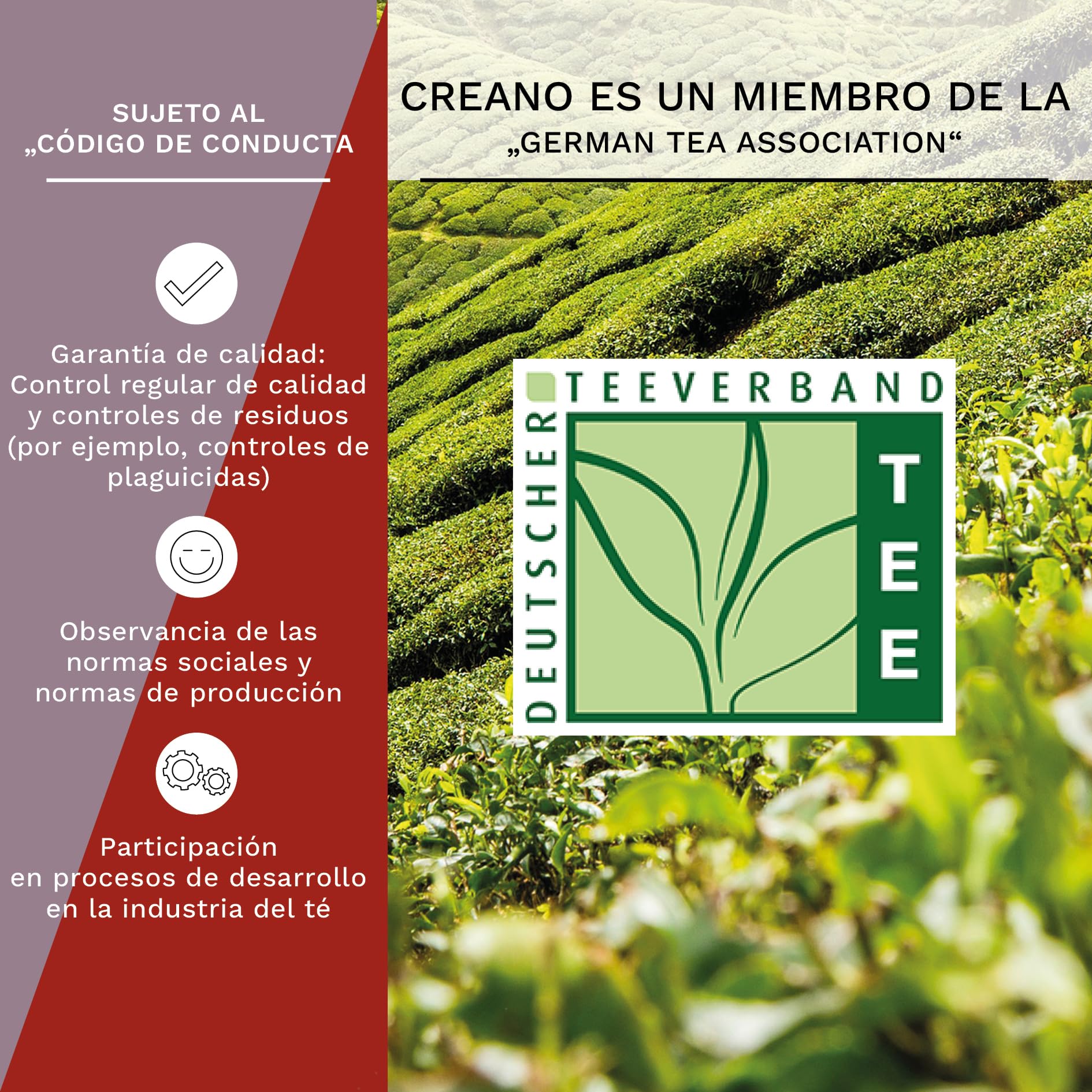 Creano Flores de Té Mix 12 uds Cofre de Madera 9 Variedades Té Blanco y Negro Regalo Sostenible Elegante para Mujer