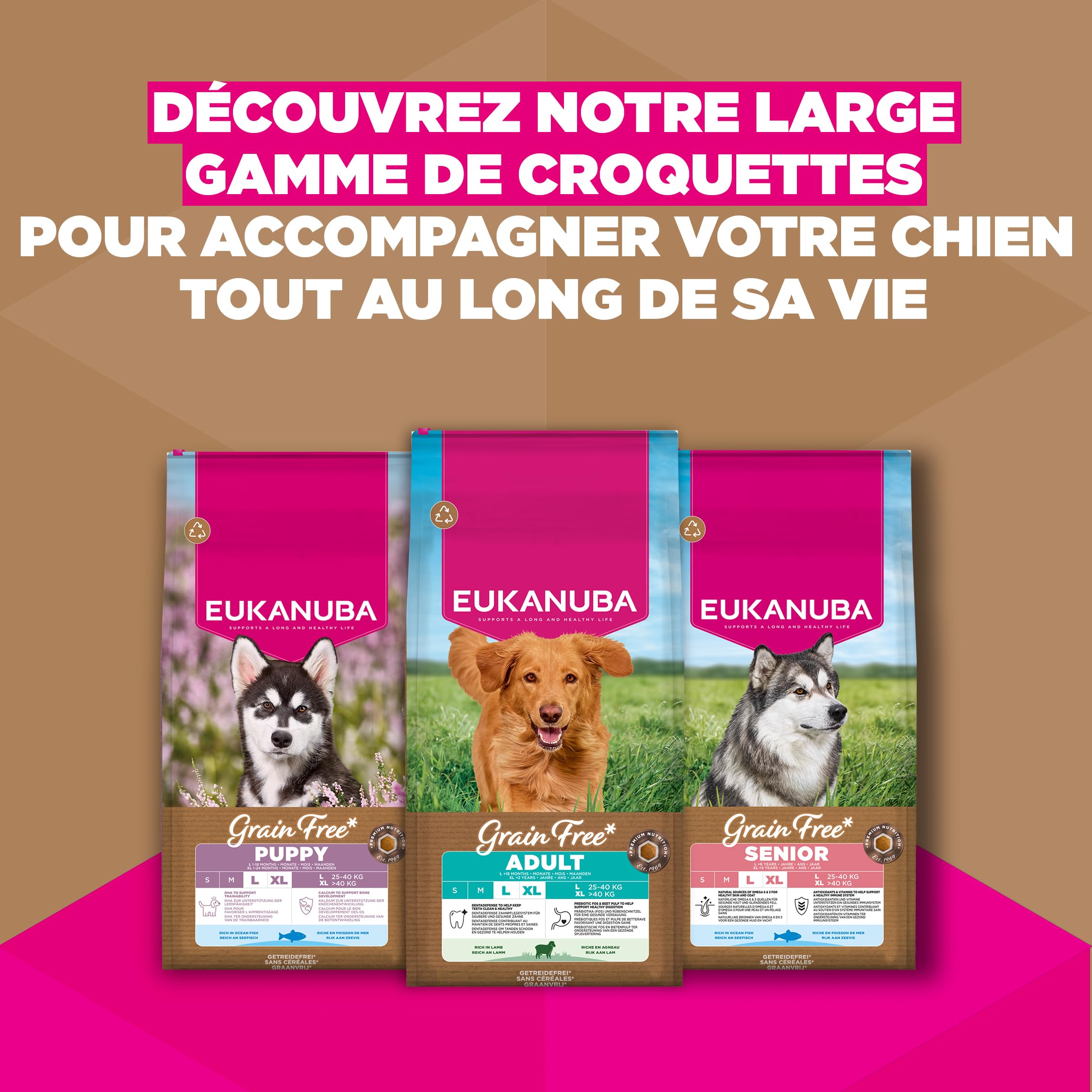 EUKANUBA Chien Adulte Grande Race sans Céréales Agneau 12 kg