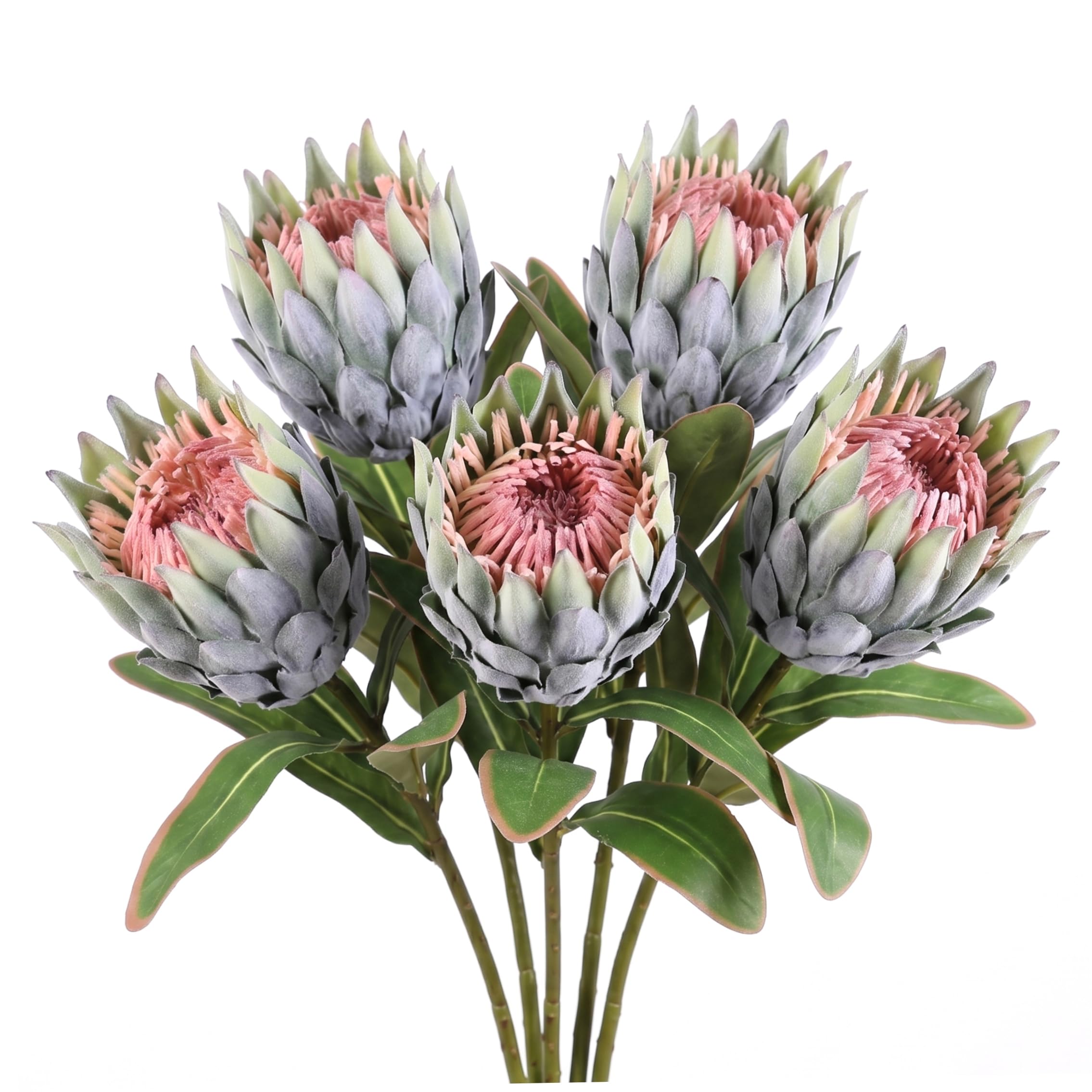 Ameble 5PCS Artificial Protea Flowers with Flocked Finish, 19 Inch Faux Tropical Silk Flowers for Arrangement & Decor, Wedding, Centerpiece