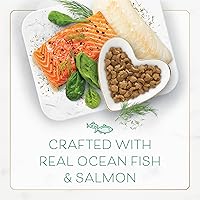 Vista 4 de Comida seca Purina Fancy Feast para gatos con pescado del océano y salmón - Bolsa de 3 libras