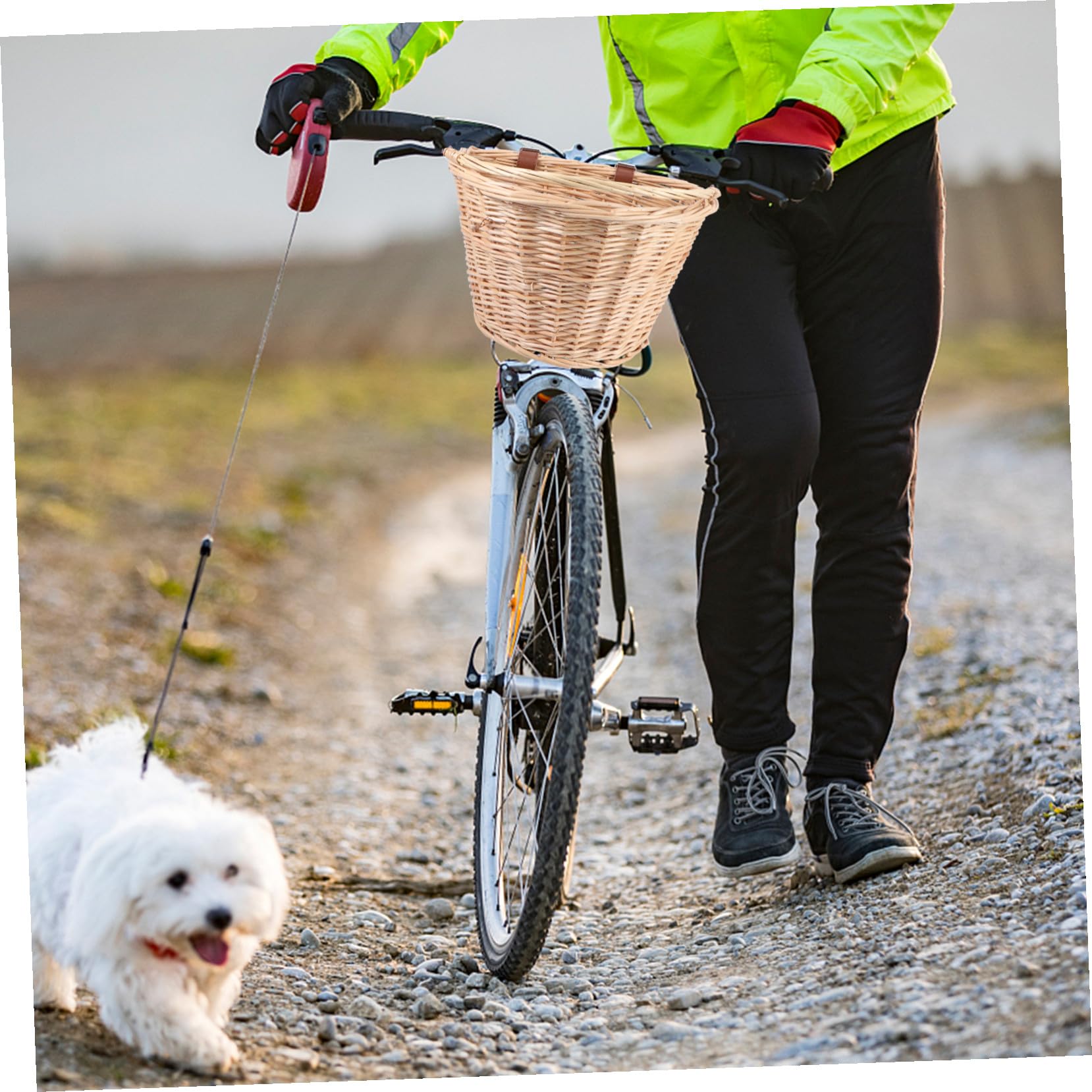 Gatuida Cesta de Mimbre para Bicicleta con Asa Color Caqui Cesta Delantera de Ratán Superficie Lisa y Cómoda Color Aleatorio para Almacenamiento y Ciclismo al Aire Libre