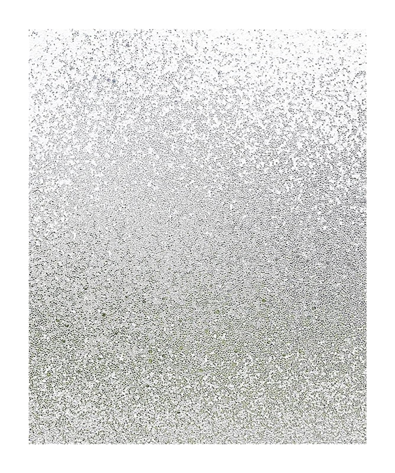 Window Film Privacy Frosted Glass Self-Adhesive Protection Stickers For Home Bedroom for Glass Windows(30x500cm)