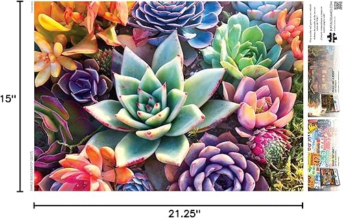 Miniatura 6 de Buffalo Games - James Mertke - Suculentas simples - Rompecabezas de 300 piezas para adultos - Rompecabezas desafiante perfecto para noches de juego