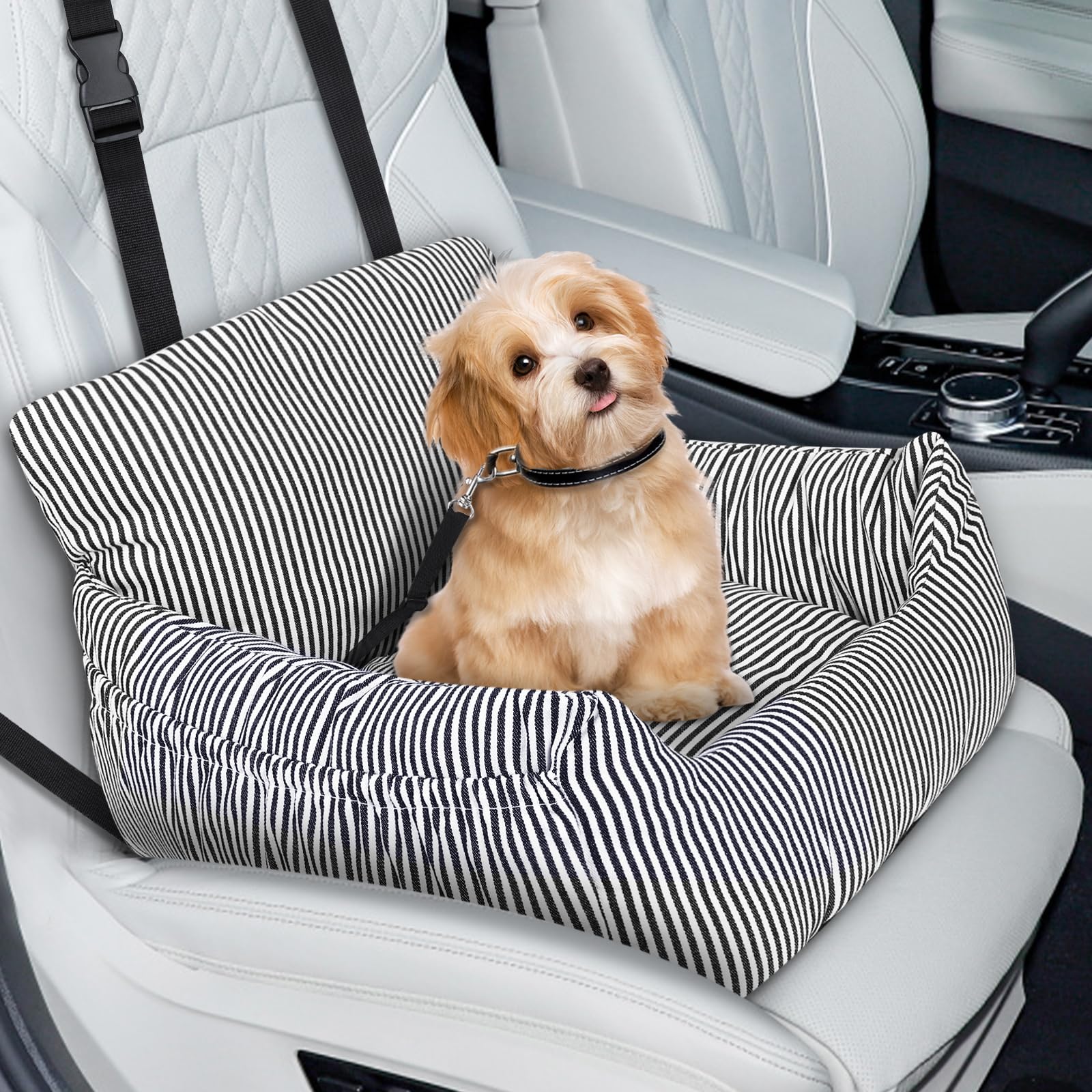 Otauoaea Asiento Perro Coche Pequeño, Cama Perro Coche Segura y Cómoda, Silla Perro Coche Estable con Correa de Seguridad y Bolsillos Laterales, para Coche, SUV, Truck