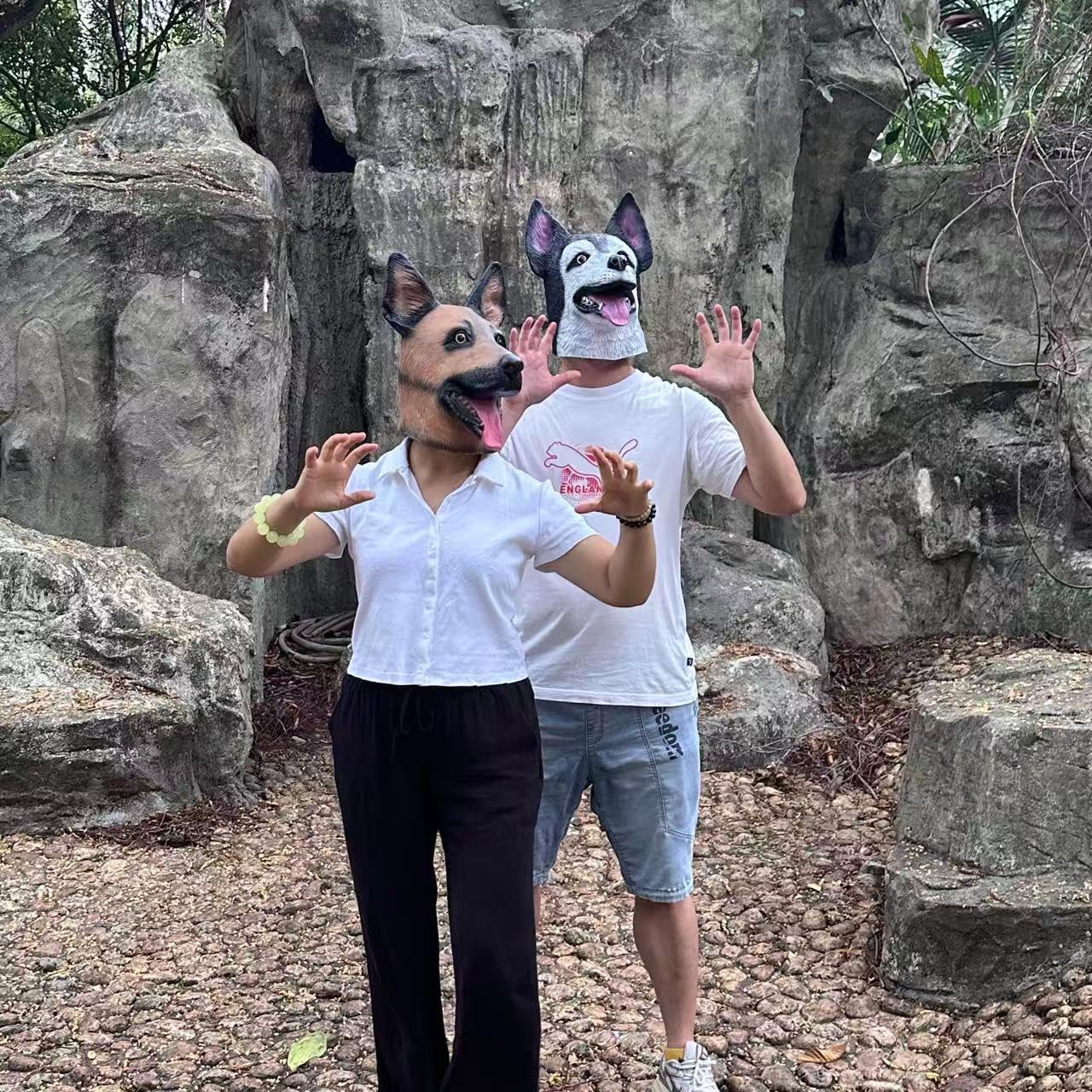 Derlinvine Siberian Husky Dog Mask, Latex Realistic Animal Full Head Masks for Halloween Carnival Costume Cosplay Party Props