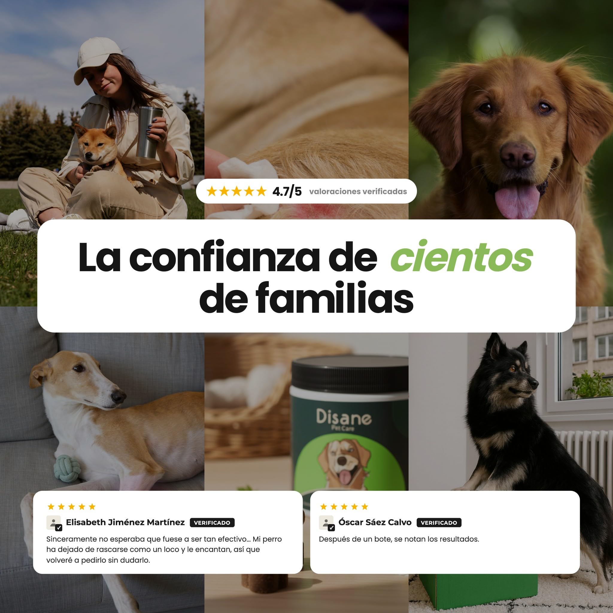 Antipicores y Pieles Sensibles para Perros – Suplemento Antipicores de 60 Unidades | Disane Pet Care