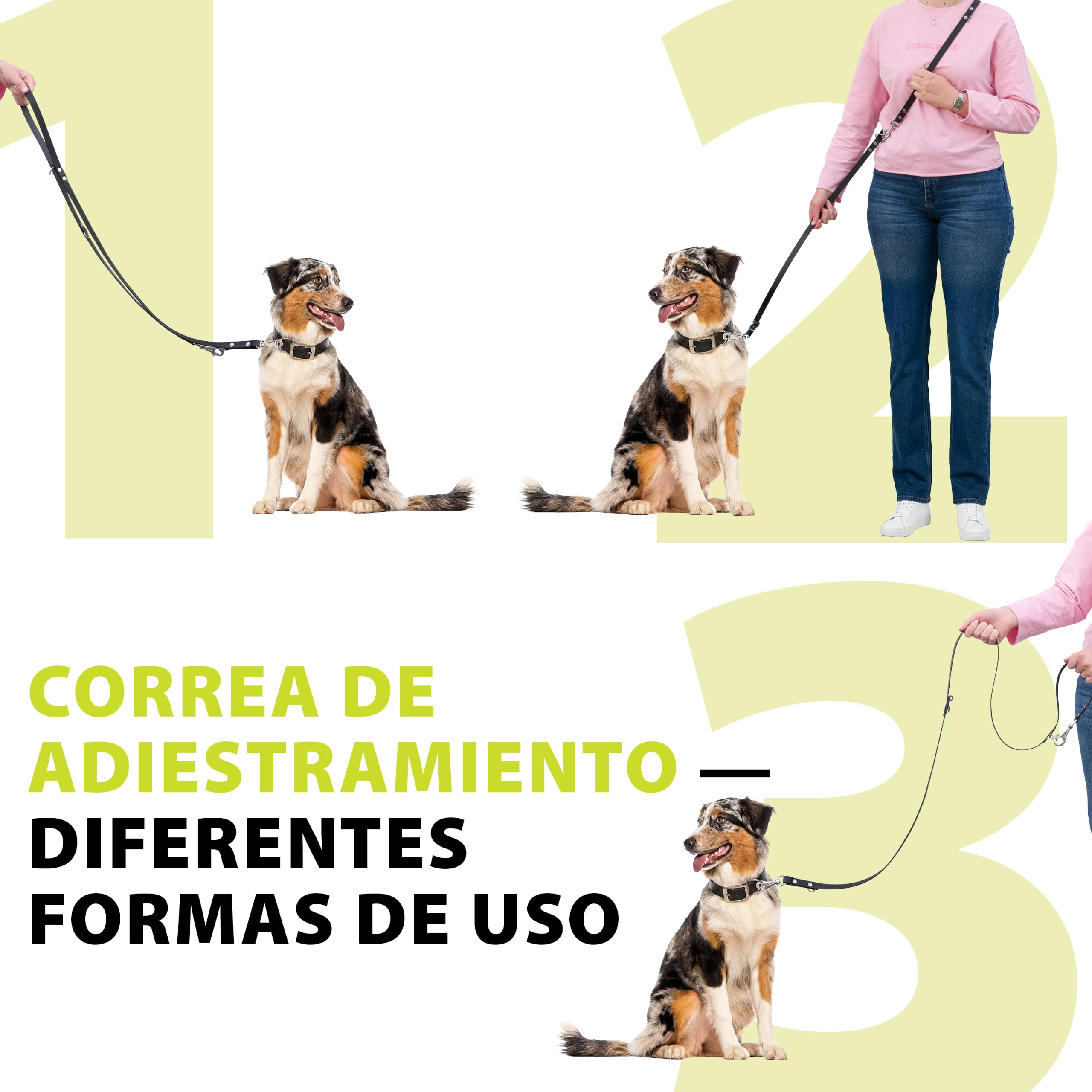 FERPLAST Correa Cuero Natural G 22 200 Negro