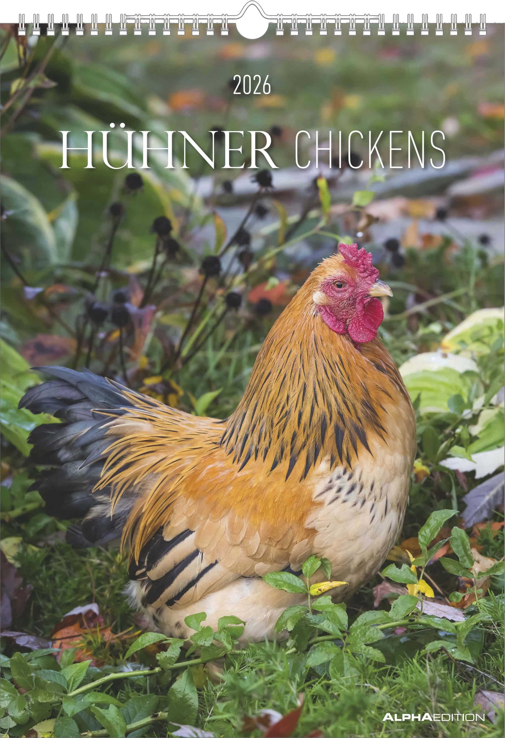 Alpha Edition - Hühner 2026 – Wandkalender A3 (30×42 cm) mit 12 liebevollen Fotografien verschiedener Hühnerrassen, dekorativer Bauernhof-Kalender für Tierliebhaber, Hobby-Bauern & Landleben-Fans