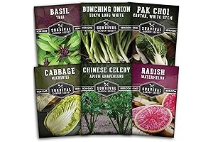 Survival Seeds: Asian Vegetable Collection Seed Vault