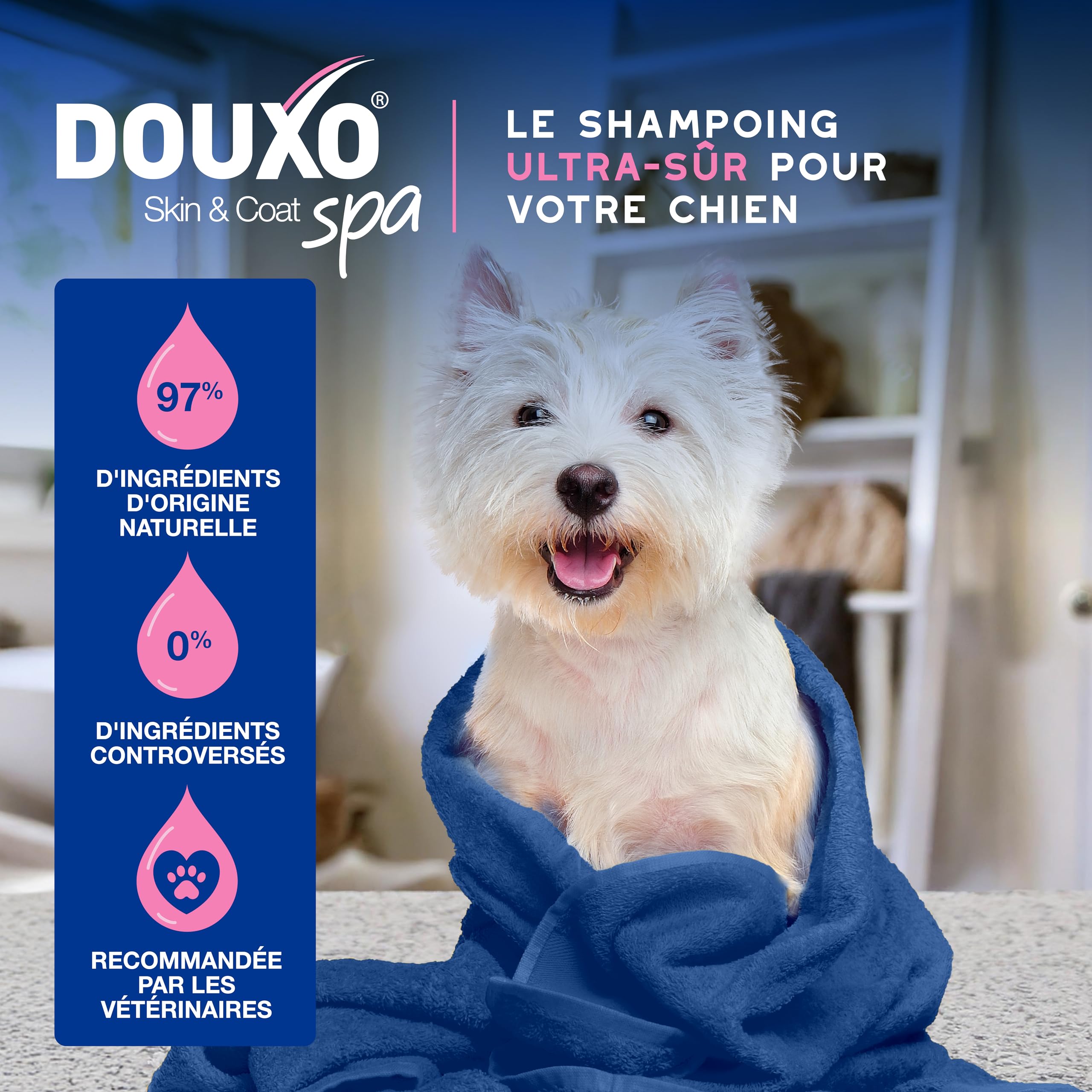 DOUXO Skin & Coat Spa - Ultra-Safe Shampoing Anti-démangeaisons pour Chien, 250mL, Nettoie et apaise la Peau, Laisse Le Pelage Doux et éclatant, Formule respectueuse de la Peau.