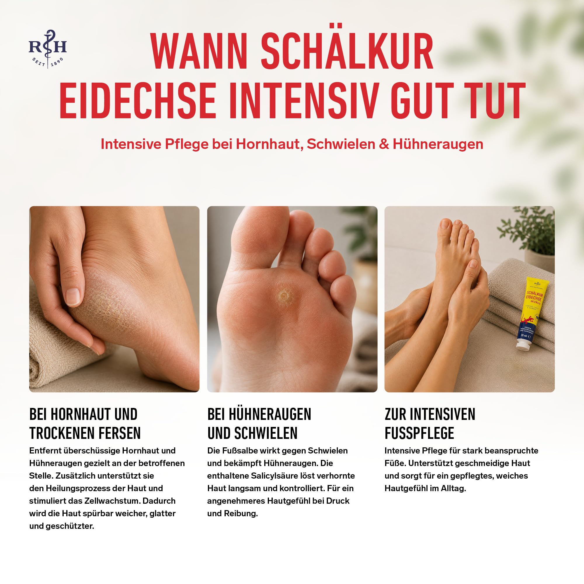 Lizard Peeling Cure intensywnie | maść na spierzchniętą skórę, modzele, nagniotki i nagniotki | zawiera 40% kwasu salicylowego | Rösch und Handel