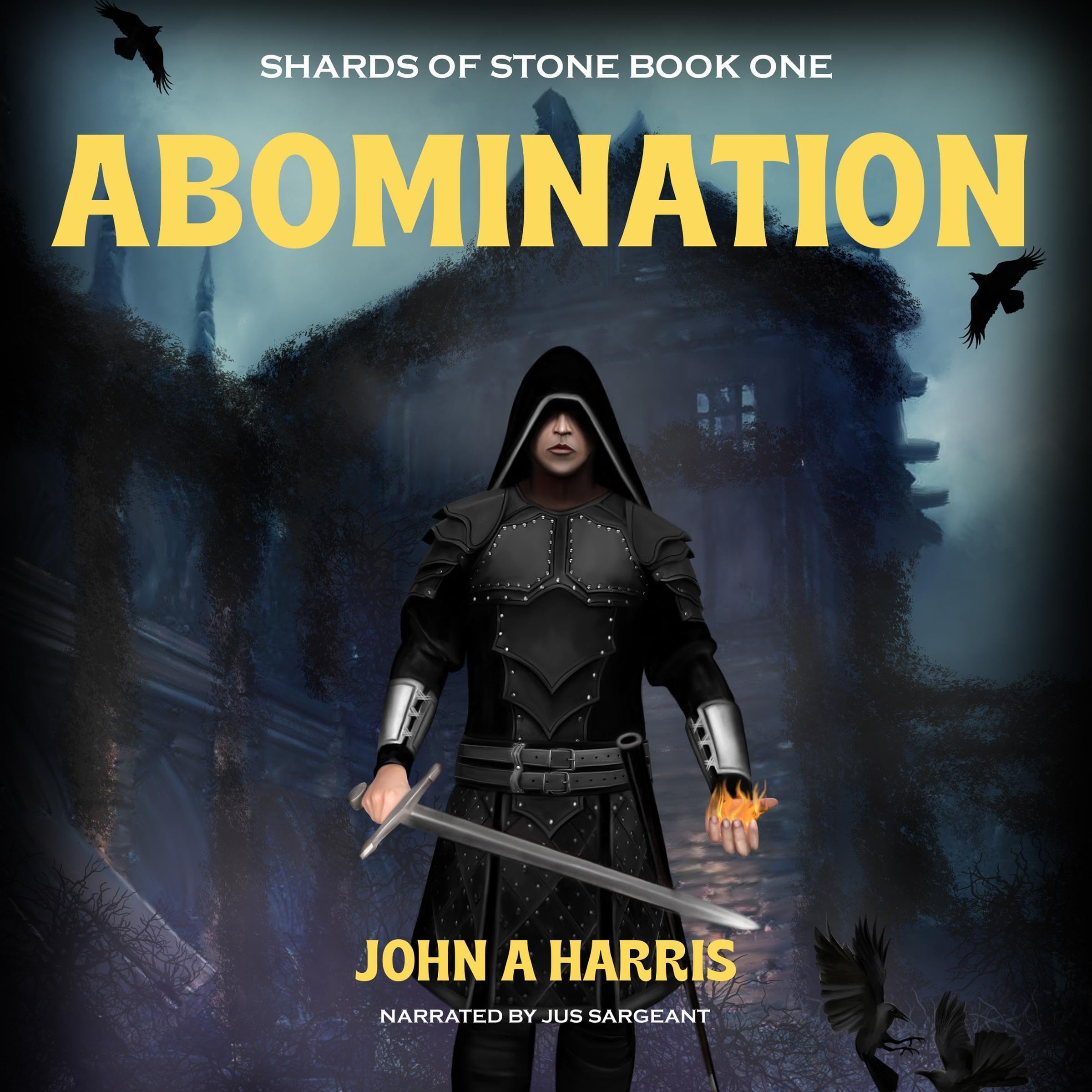 Cover art for Abomination: Shards of Stone, Book 1