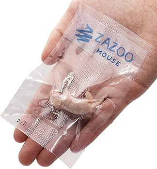 Amazon | ZAZOO 冷凍マウス ピンクマウスS 10匹 2.1〜3g 約3.0 Amazon | ZAZOO 冷凍マウス ピンクマウスS 10匹 2.1〜3g 約3.0