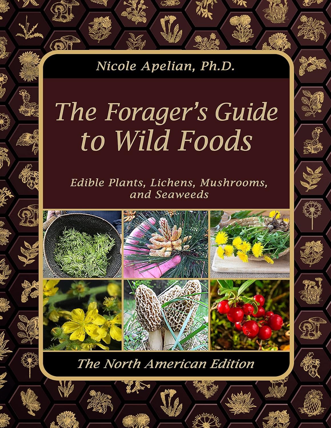 The Forager’s Guide to Wild Foods Paperback – June 21, 2021