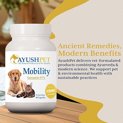 Miniatura 6 de Ayush Pet Mobility, suplemento de curcumina para articulaciones saludables, articulaciones puras y potentes, digestión y apoyo cerebral, mascotas