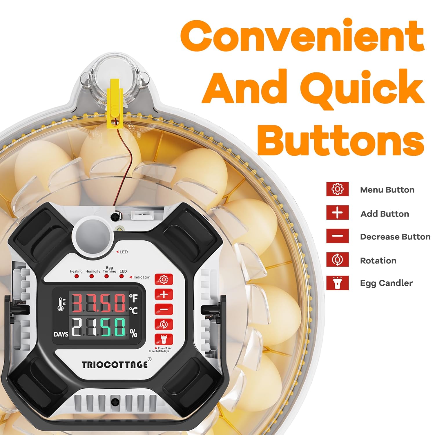 Incubators for Hatching Eggs, 12–18 Egg Capacity Digital Egg Incubator with Automatic Egg Turning and Accurate Humidity Control for Chicken, Quail, Duck