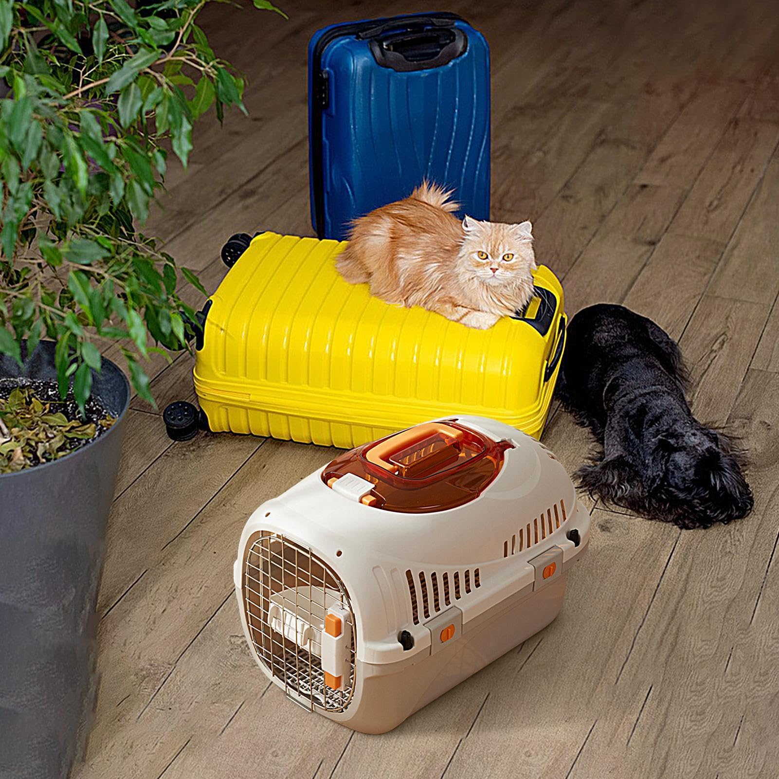 Cassetta da viaggio per animali domestici, lavabile, con tettuccio apribile panoramico, trasportino portatile senza stress, robusta borsa rimovibile per gatti per esterni, comoda e facile da