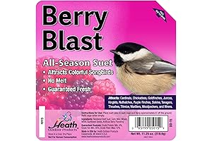 Heath Outdoor Products 12-Pack Berry Blast Suet Cakes