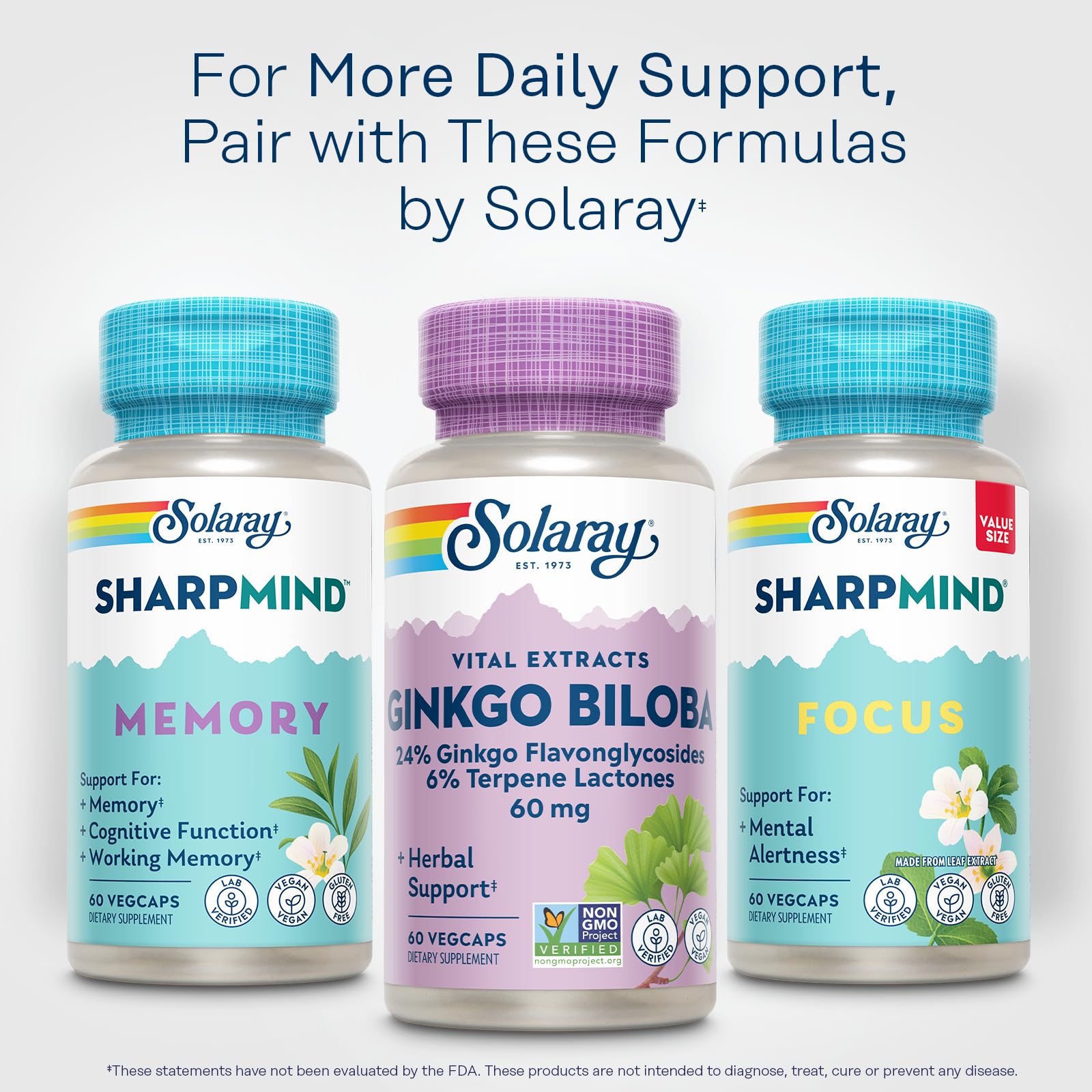 Amazon.com: SOLARAY Ginkgo Biloba Extract, Vital Extracts - Brain