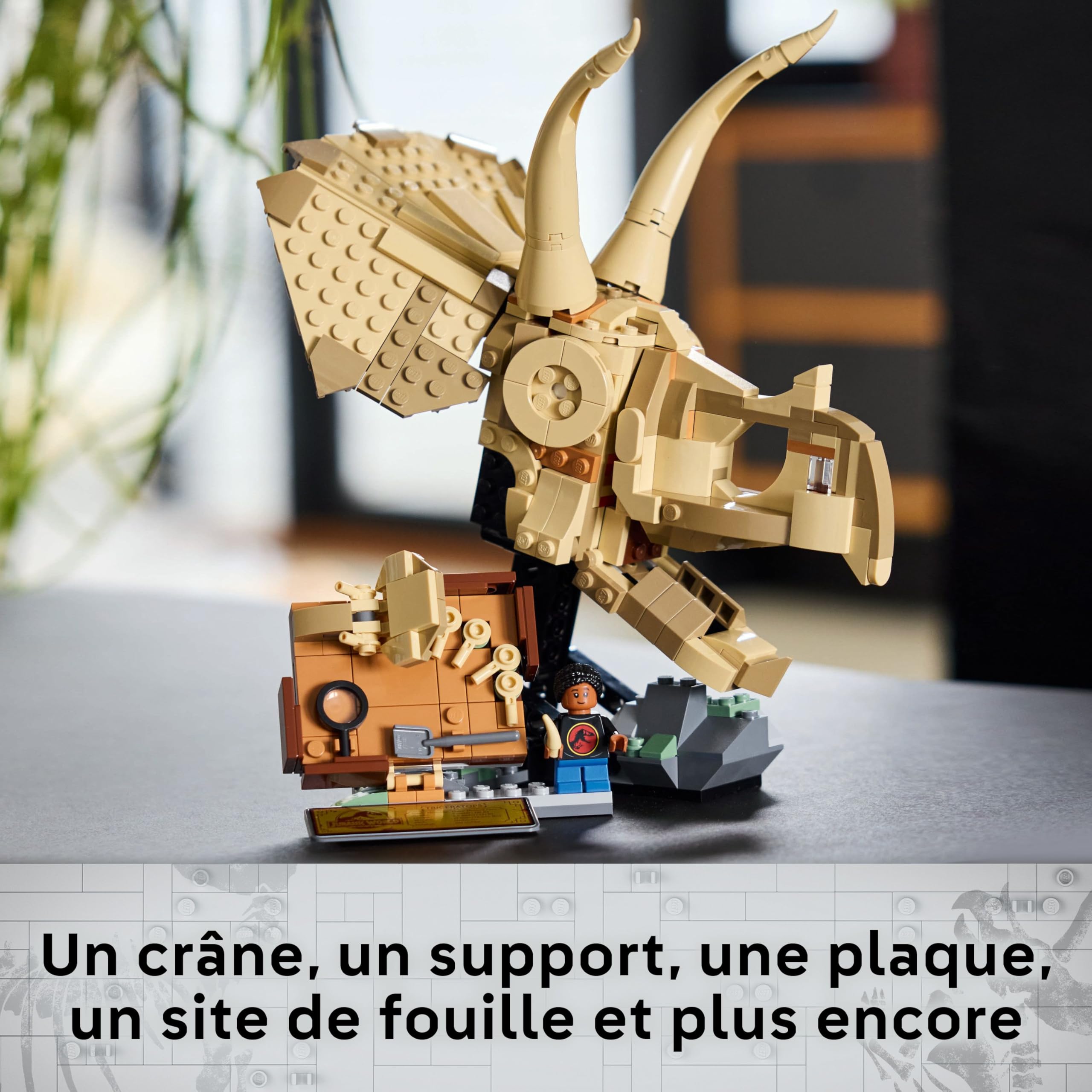 LEGO Jurassic World Les fossiles de Dinosaures : Le crâne du tricératops - Jeu de Construction pour garçon et Fille dès 9 Ans - Idée Cadeau pour passionnés d'animaux préhistoriques 76969