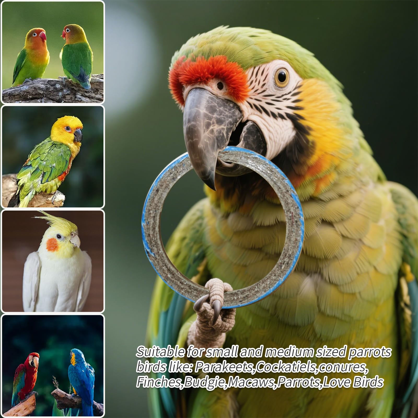 Puninoto 24Pcs Chew Bagels Bird Toys for Parrots,Colorful Cardboard Shredding Foraging Chew Toys,Safe Durable Bird Cage Enrichment for Parakeets,Cockatiels,Conures - image 3