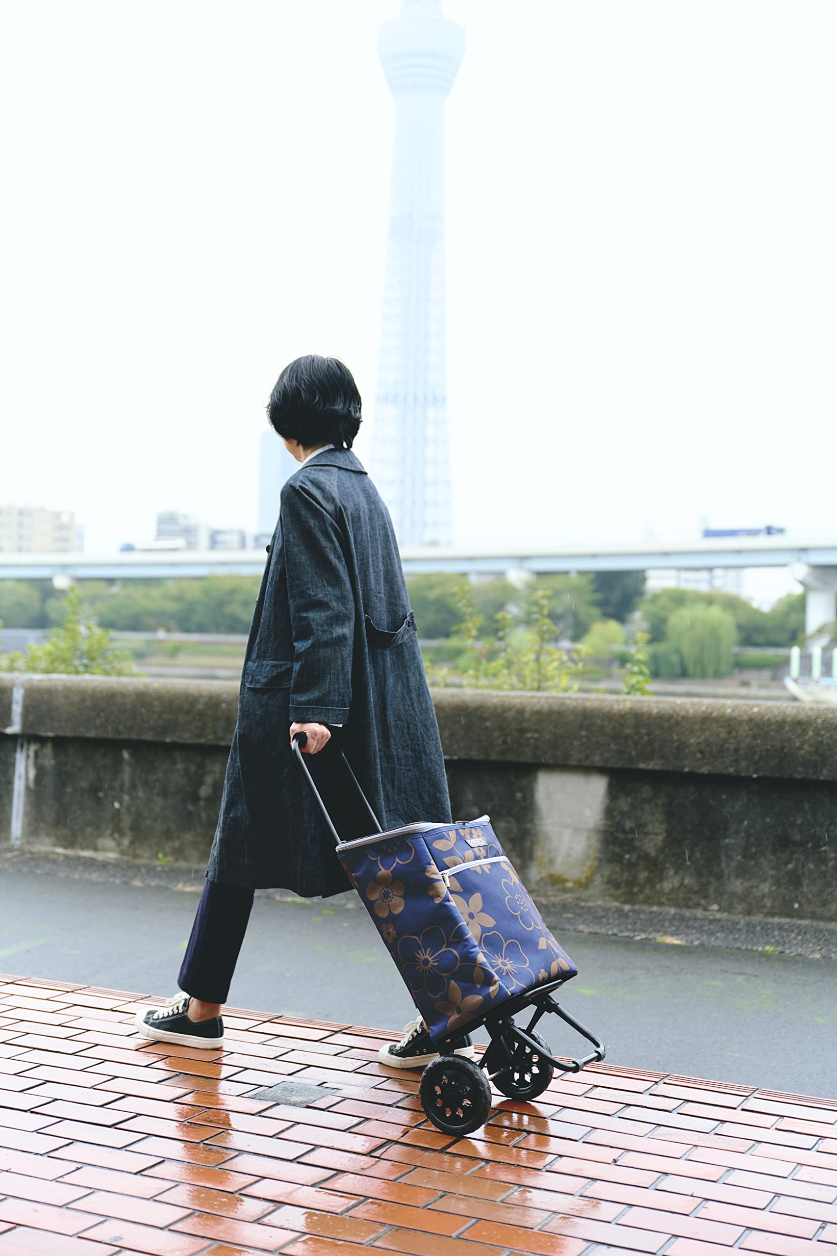 Amazon.co.jp: cocoro コ・コロ コ・コロ(Cocoro) ショッピング