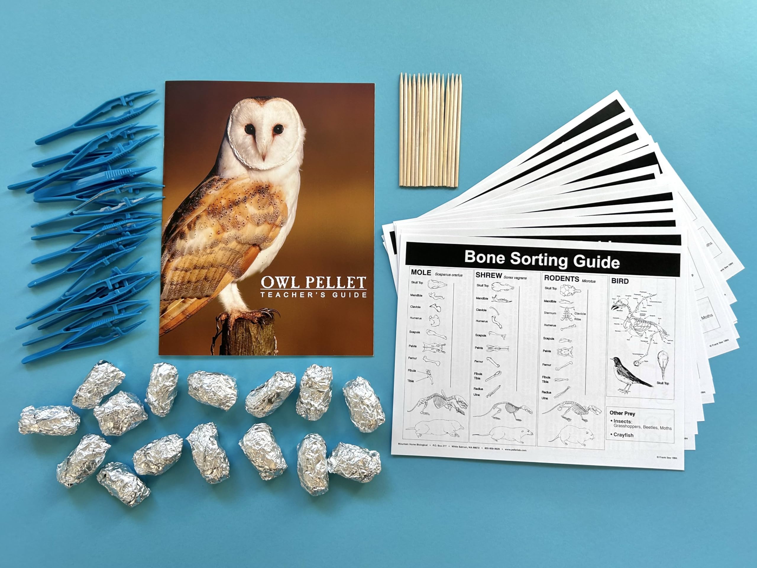 Mountain Home Biological 15 Pack Large owl pellets with Teacher’s Guide and Bone Sorting Sheets, Probes and Forceps