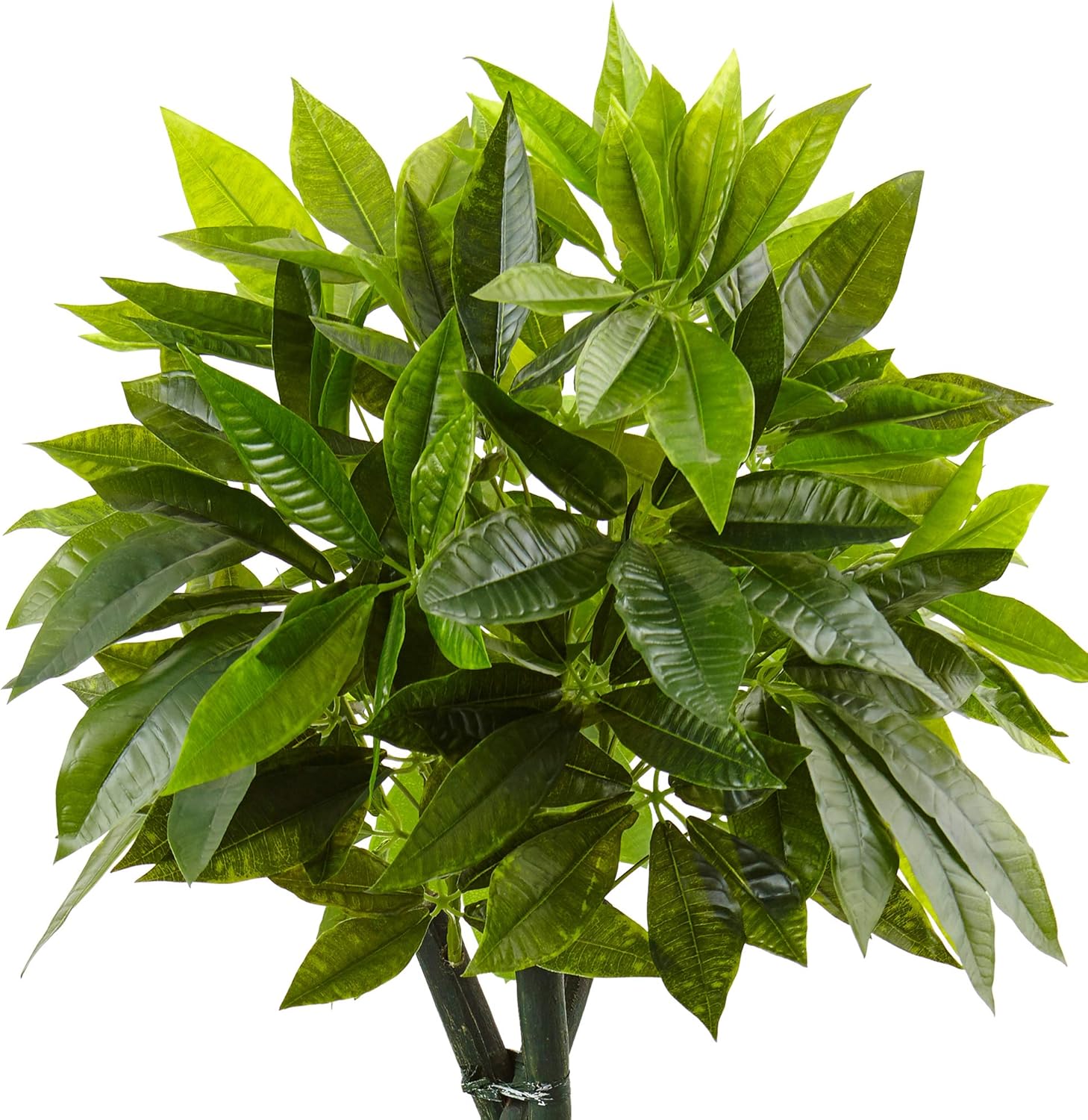 Nearly Natural 5ft. Money Artificial Tree in Black Square Planter