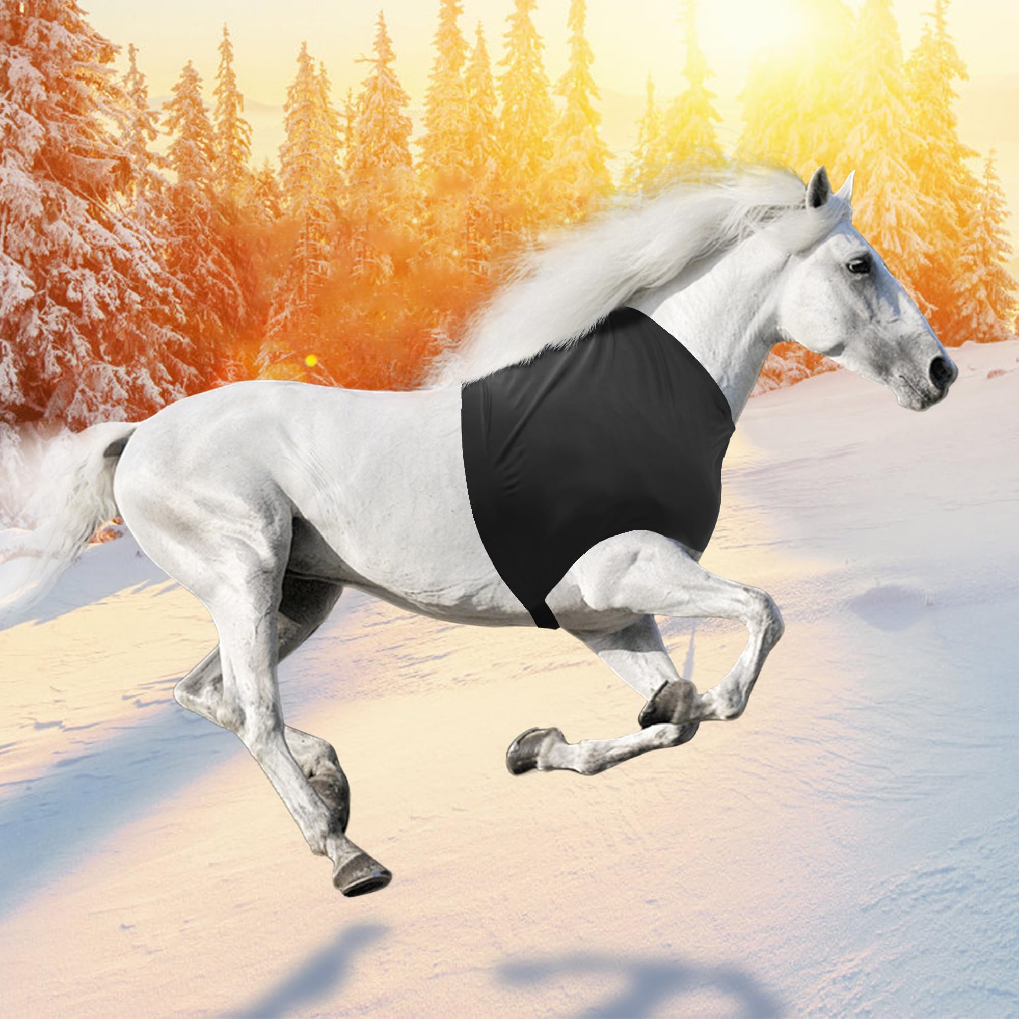 Hilltown Waterproof Horse Neck Cover - Winter Blanket for Horses, UV Protection, Anti-Fly Slinky, Breathable Fabric for Outdoor Use