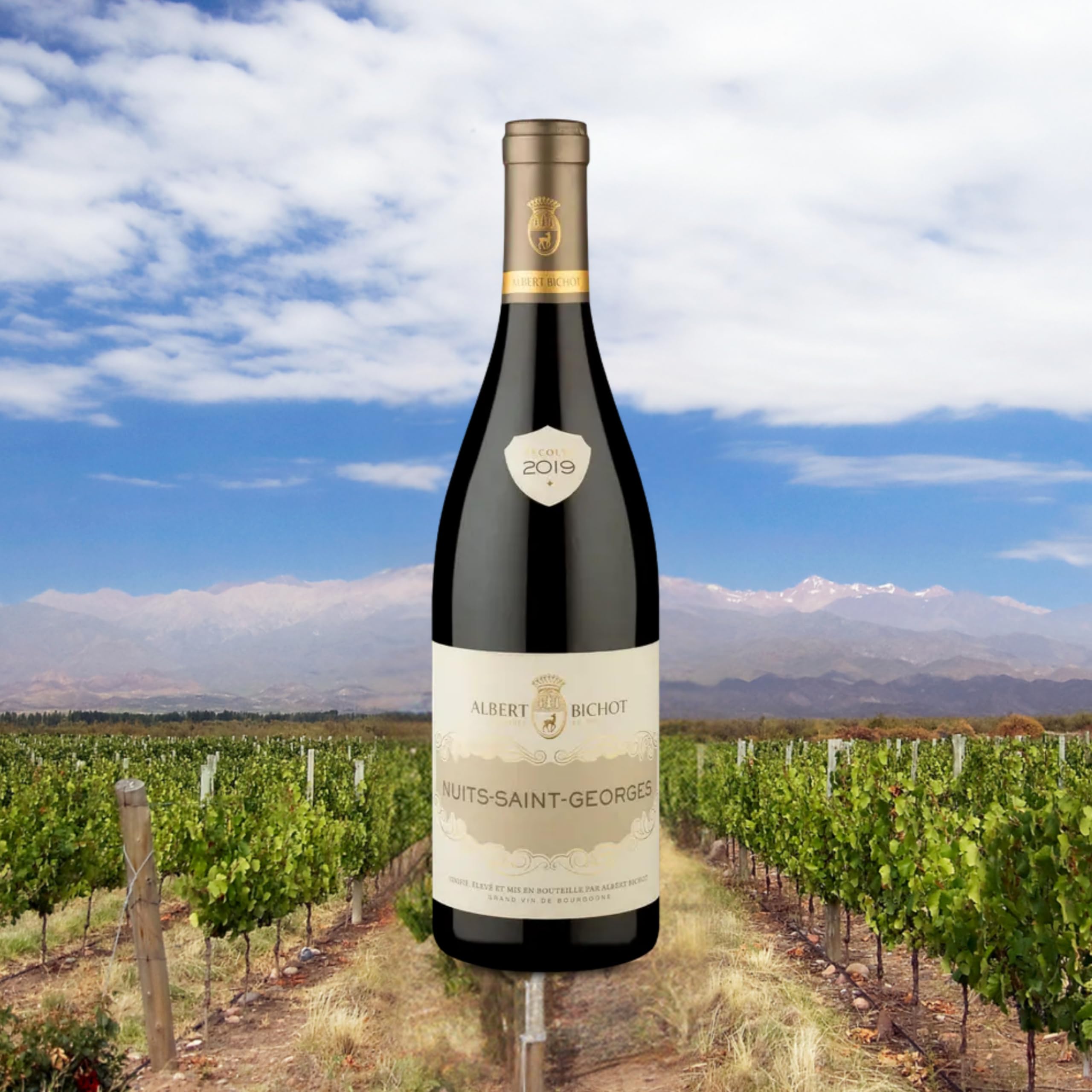 Vinho Albert Bichot Nuits Saint Georges 750ml | Amazon.com.br