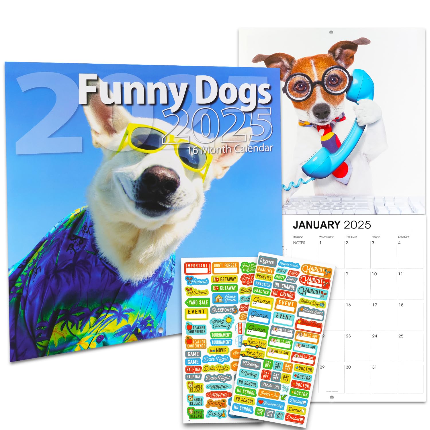 Funny Dogs Calendar 2025 Deluxe 2025 Funny Dog Lover Wall