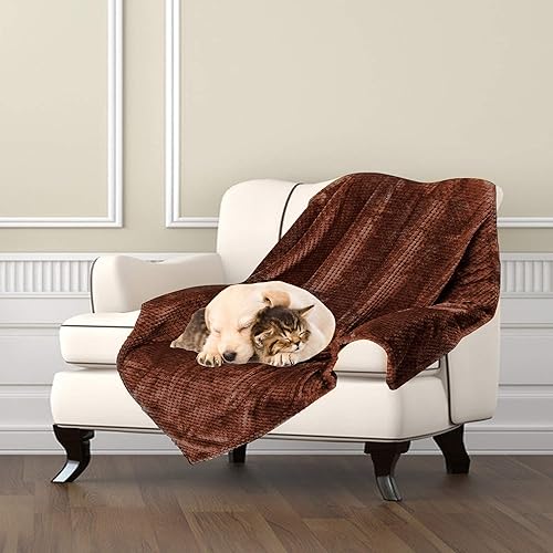 Miniatura 15 de Manta de alta calidad Msicyness para perro, manta polar acolchada, suave y cálida para mascotas, perros y gatos. 1 paquete verde,rosado, (1 Pack